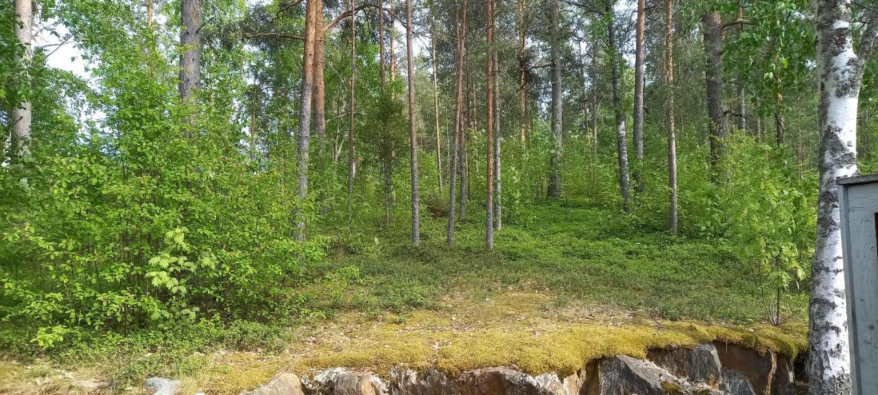 萨翁林纳Saimaan Kodikas公寓 外观 照片